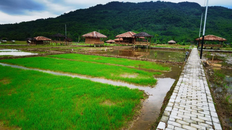 Gambar 1